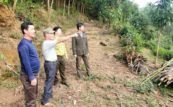 Định Hóa đẩy nhanh tiến độ rà soát, quy hoạch 3 loại rừng