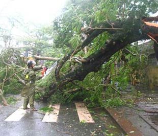 Miền Trung: 170.000 dân đã sơ tán tránh bão