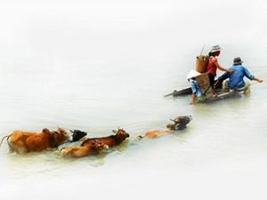 Triển lãm ảnh nghệ thuật quốc tế lần thứ 5 tại Việt Nam