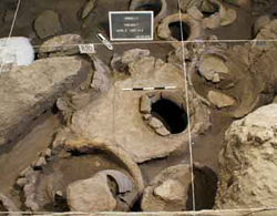 Phát hiện lò rượu cổ nhất thế giới