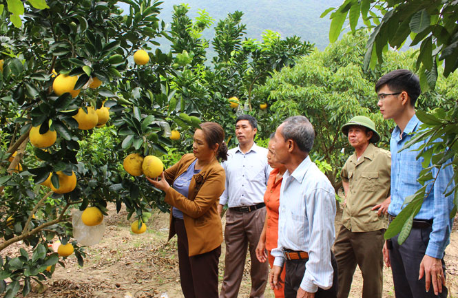 Dấu ấn Ban công tác mặt trận xóm vùng cao