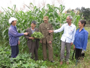 Xóm làng tối lửa tắt đèn có nhau