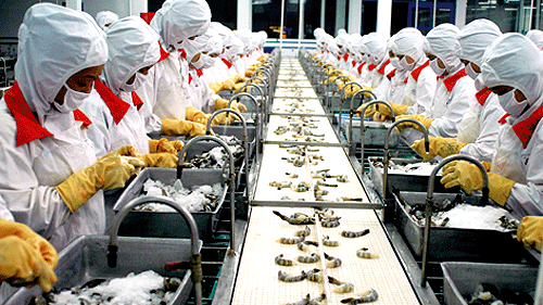 Giảm “khát” nguyên liệu thuỷ sản xuất khẩu