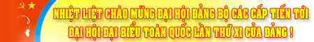 Kế hoạch tuyên truyền đại hội đảng các cấp, Đại hội XVIII Đảng bộ tỉnh tiến tới Đại hội đại biểu toàn quốc lần thứ XI của Đảng