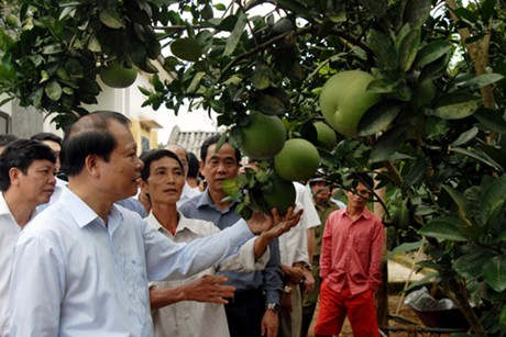 Nghiên cứu sửa tiêu chí nông thôn mới