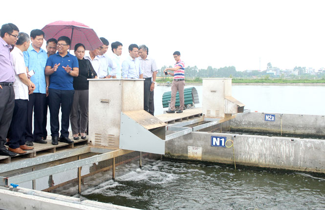 Hình thành chuỗi giá trị trong phát triển kinh tế tập thể