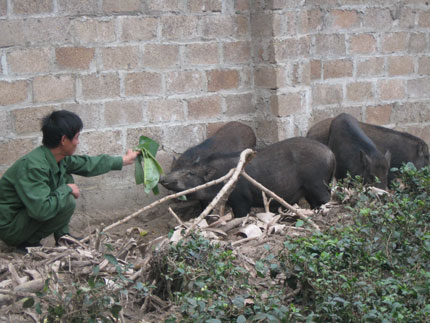 Một thanh niên dám nghĩ, dám làm