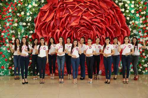 Ngày 2-11, chung kết Cuộc thi “Nữ sinh viên Việt Nam duyên dáng 2014”