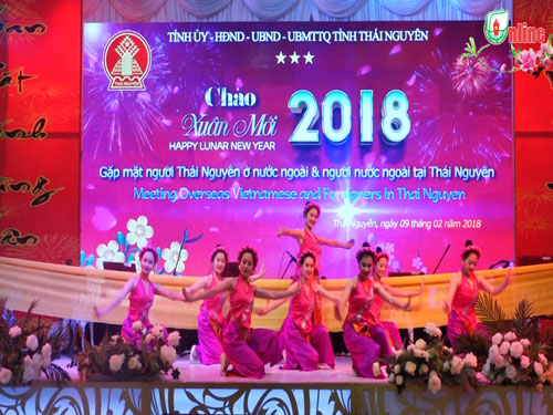 Gặp mặt người Việt Nam ở nước ngoài và người nước ngoài tại Thái Nguyên