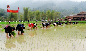 Loại bỏ các hủ tục trong lễ hội truyền thống