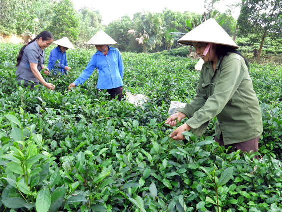 Đảng bộ Yên Trạch vươn lên đạt trong sạch vững mạnh
