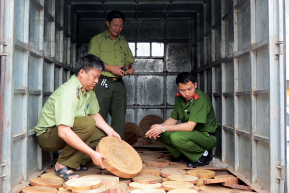 Tạm giữ gần 0,7m3 gỗ thớt, chày nghiến