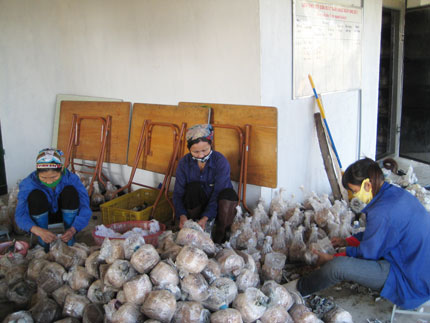 862 lao động của Đại Từ được đào tạo nghề