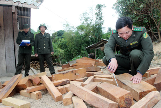 Bắt giữ gần 2m3 gỗ không rõ nguồn gốc