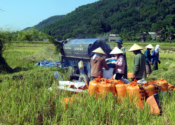 Nông dân xã Yên Lạc (Phú Lương) sử dụng máy móc để thu hoạch, bảo quản lúa xuân.