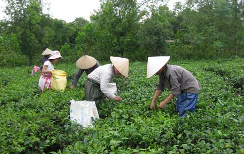 Đại Từ - Bức tranh đa sắc