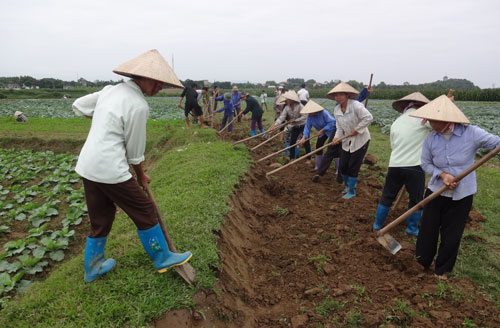 Phát huy vai trò tích cực của phụ nữ