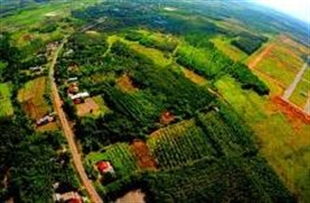 Đề xuất miễn thuế sử dụng đất phi nông nghiệp