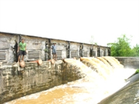 Huy động mọi nguồn lực cứu lúa sau mưa bão