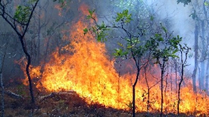 Trung Quốc: 6 người chết do cháy rừng