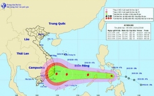 Bão số 9 có đường đi và cường độ rất phức tạp