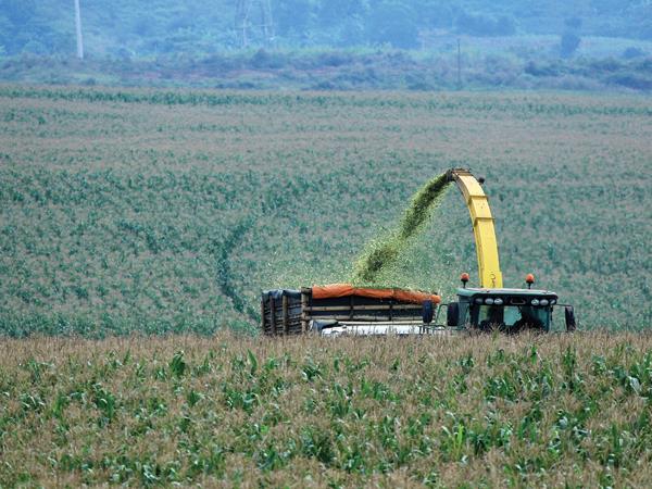  Việt Nam có tiềm năng rất lớn trong hợp tác phát triển nông nghiệp. Ảnh: Đức Thanh