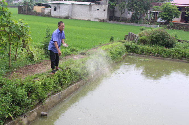 Chăm lo đời sống nạn nhân da cam