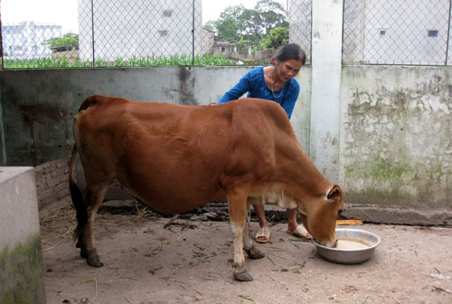 Tiết kiệm vì tương thân, tương ái