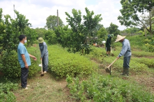  Nơi lầm lỗi được vùi chôn