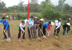 Ra quân xây dựng cầu vượt lũ