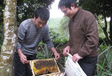 Chuyện ở một cơ sở đoàn