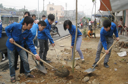 Trồng trên 100 cây xanh dọc Quốc lộ 3