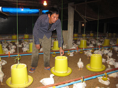 Ghi nhận từ 2 trang trại chăn nuôi lớn nhất tỉnh