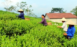 Có một Phú Đình không lặng lẽ