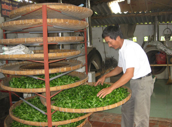 Cần xây dựng nền nông nghiệp hàng hóa có sức cạnh tranh cao