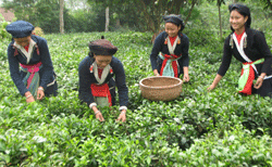 Chí Son xây dựng đời sống văn hoá