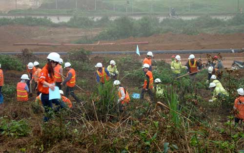 NuiPhao Mining: “Dệt” màu xanh hy vọng