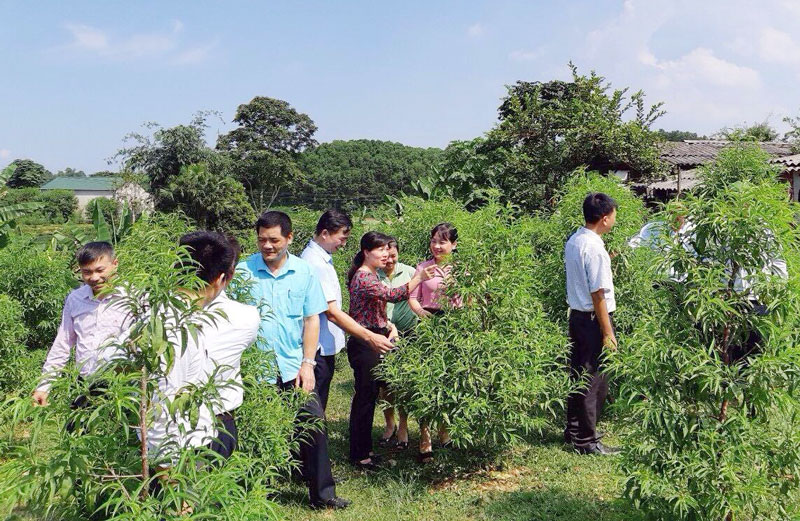 Cầu nối đưa các nghị quyết của Đảng vào cuộc sống