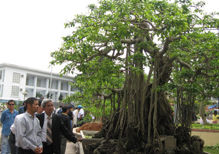 Thái Nguyên: Thi và Trưng bày sinh vật cảnh