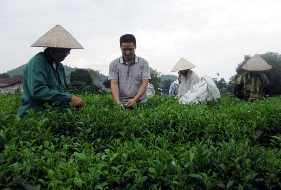 Để gia đình không có bạo lực