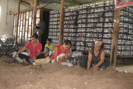 Gần 900 tỷ đồng đầu tư cho lĩnh vực nông nghiệp, nông thôn