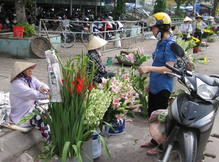 Triển vọng từ nghề trồng hoa và cây cảnh