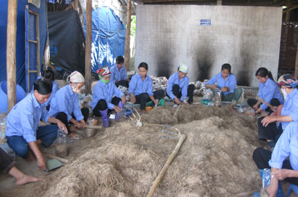 Phát triển kinh tế tập thể - Hướng đi mang tính xã hội cao