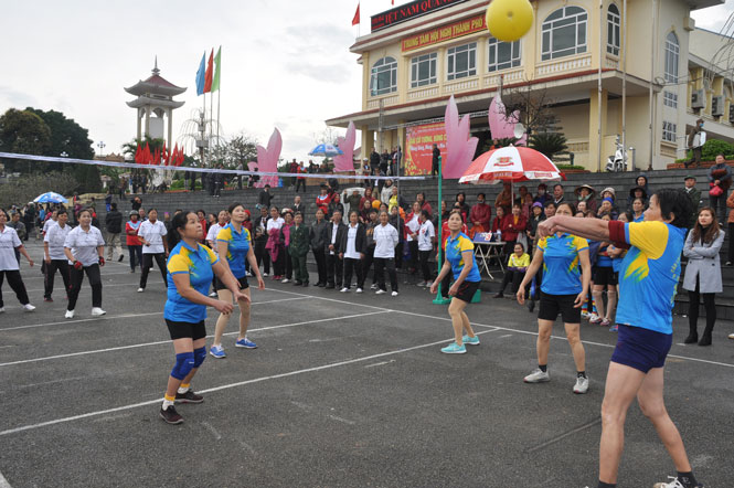 Tổ chức các giải thi đấu thể thao 