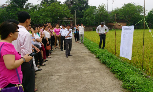 Cùng nông dân bảo vệ mùa màng