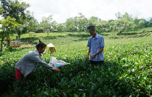 Học Bác tính cần - kiệm để thoát nghèo