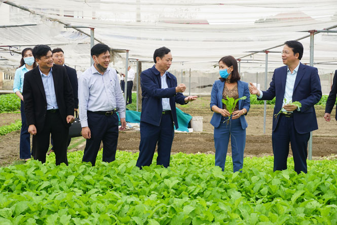 Đẩy mạnh ứng dụng công nghệ cao 