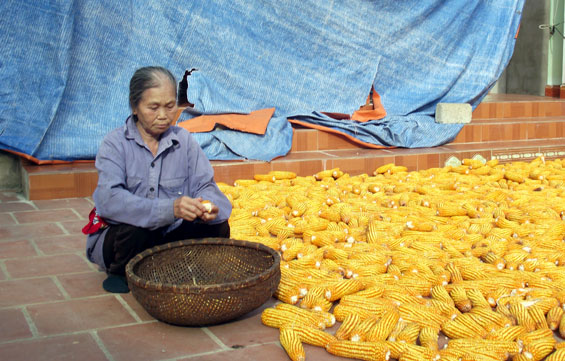 Sớm hỗ trợ gia đình người có công xây dựng, sửa chữa nhà