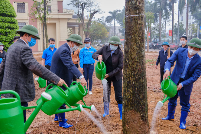 Hưởng ứng Chương trình trồng mới một tỷ cây xanh