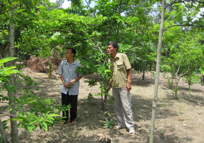 Cựu Thanh niên xung phong ngày ấy - bây giờ